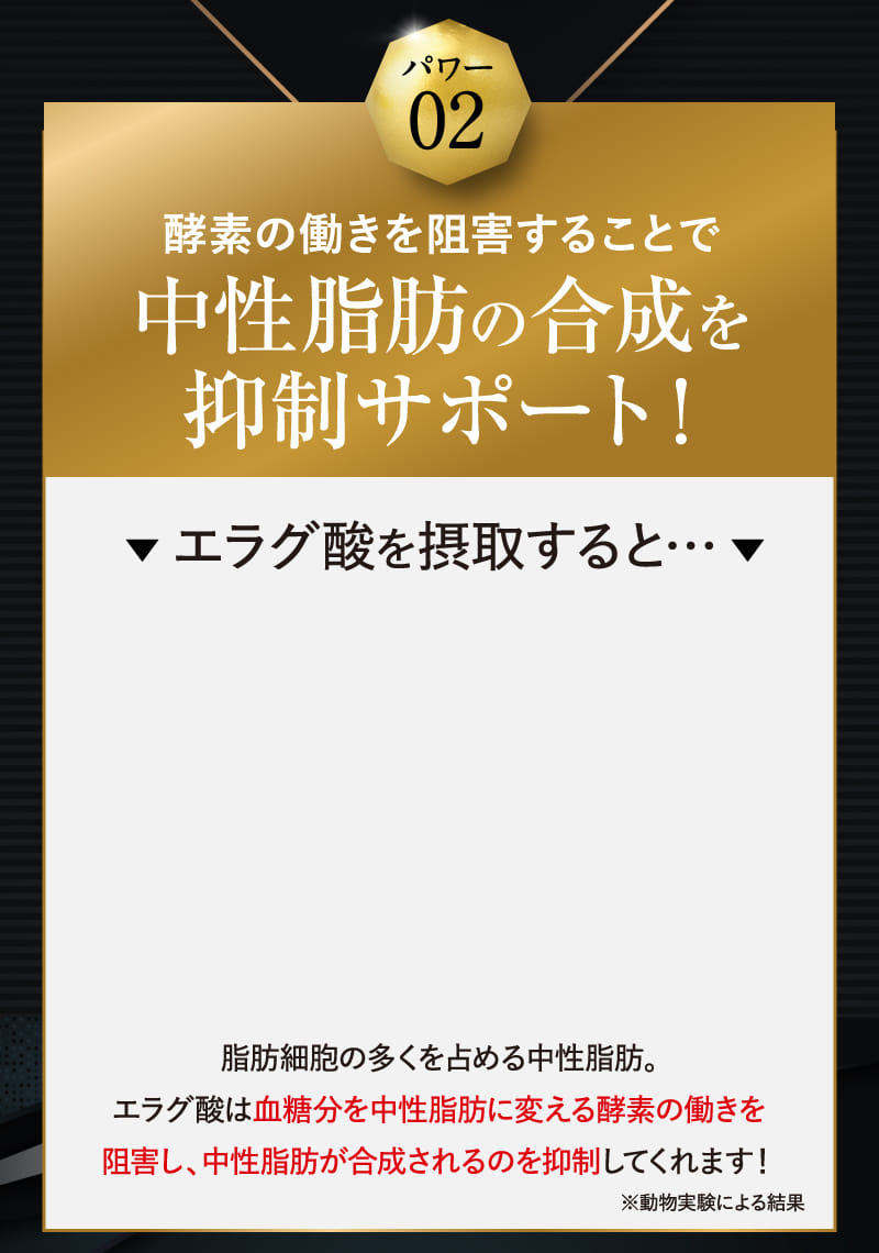 パワー02 酵素の働きを阻害することで中性脂肪の合成を抑制サポート!